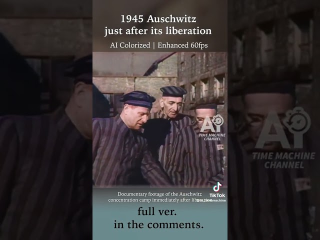 Auschwitz Prisoners