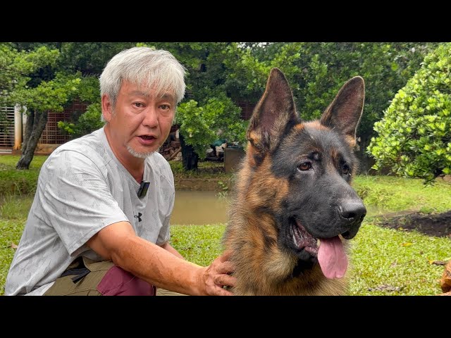 King Herder Arief Gautama Sang Legenda