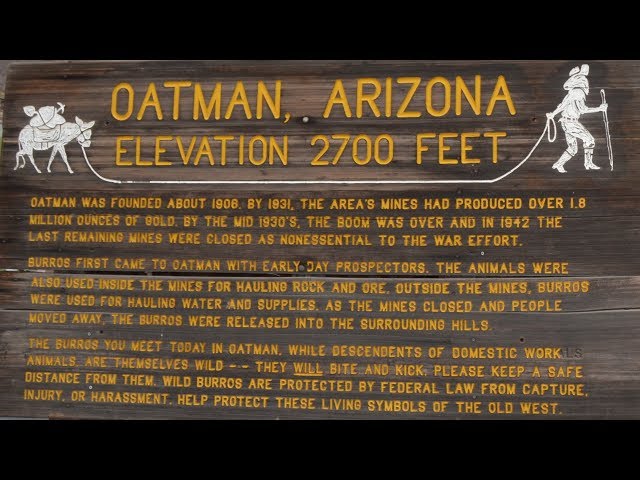 Oatman 360°