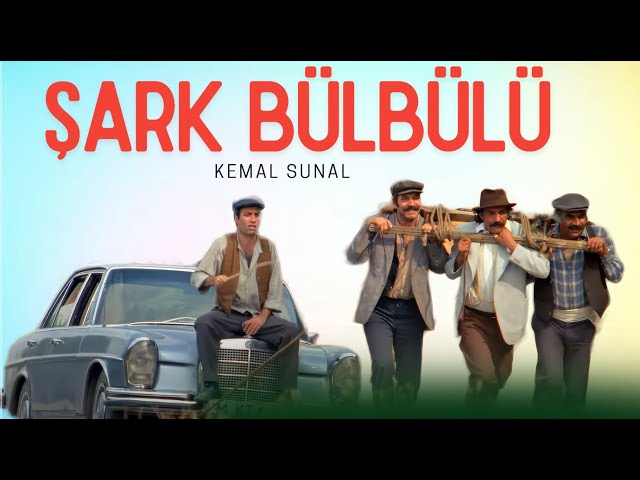 Şark Bülbülü Türk Filmi | FULL | 4K ULTRA HD | KEMAL SUNAL