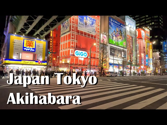 Cartoon Kingdom and Animation City symbolizing Japan┃Japan Tokyo Akihabara