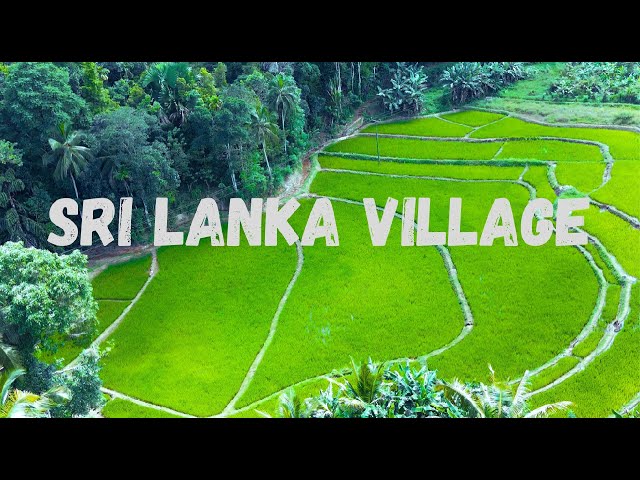 SRI LANKA VILLAGE  - Cinematic Video