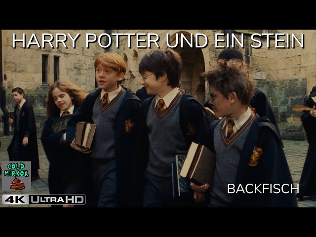 Fried fish scene | Harry Potter und ein Stein (German Harry Potter parody) - 4K HDR (Teaser)