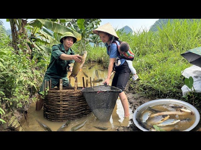 17 year old girl - Catch big fish go to market sell with Husband - Cook fish