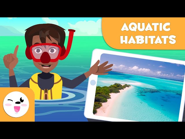 Explore Aquatic Habitats - Types of Habitats for Kids