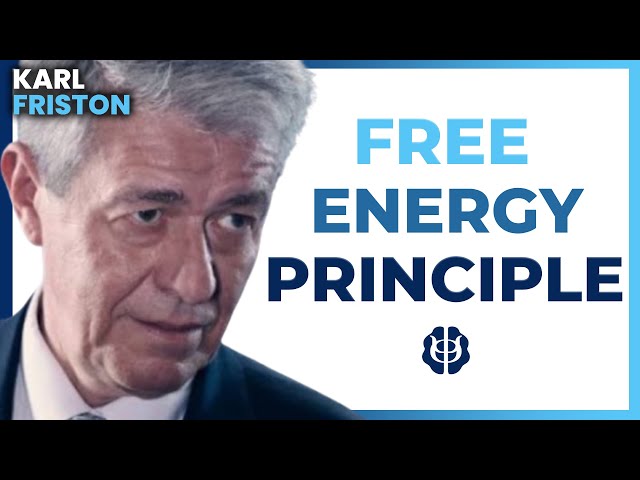 Emotions and the Free Energy Principle of Brain Function | Karl Friston