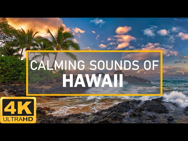 4K Hawaii Ocean Waves | Perfect For Sleep, Study and Insomnia Relief