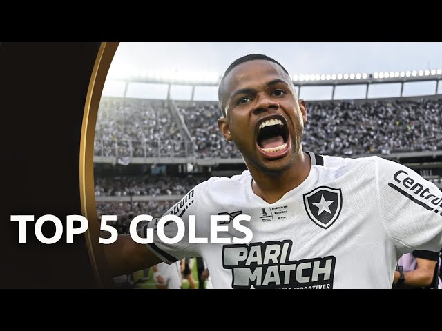 TOP 5 GOLES DE LA CONMEBOL LIBERTADORES 2024