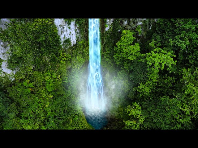 Waterfall White Noise Sounds for Sleeping, Relaxation, and Peace!