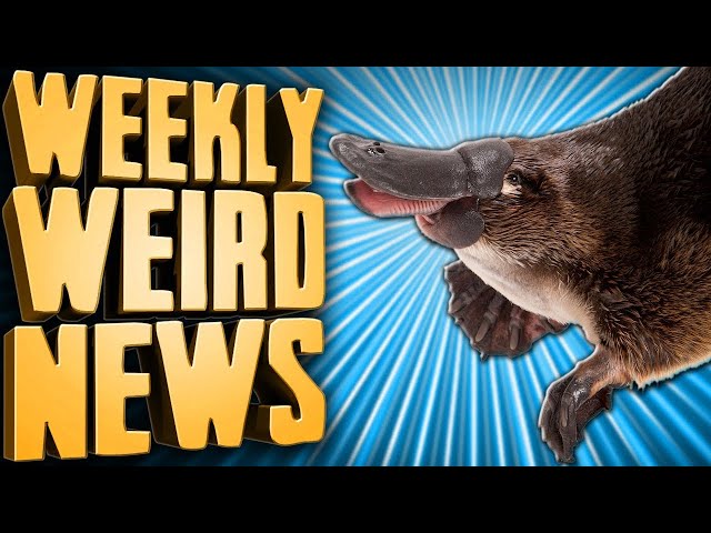 ETC Archive: The Duck-Billed Platypus is the Hero We Need - WWN