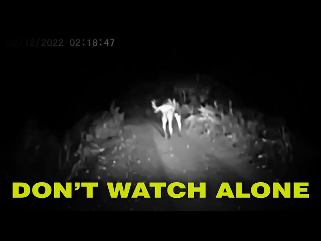 SHOCKING Trail Cam Footage That Dropped Everyones Jaws