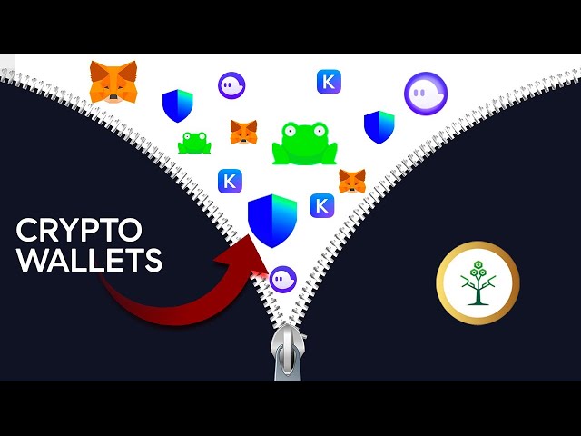 How to Setup Crypto Wallets For Airdrop And Others