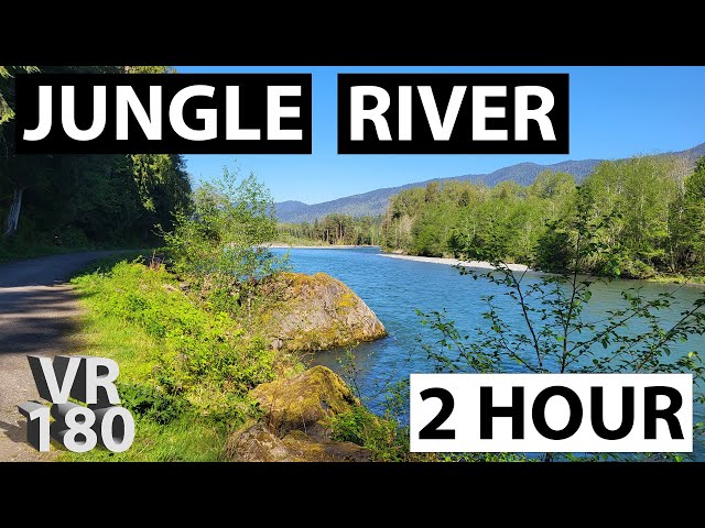 VR180 | Jungle River | Sleep Aid | 2 Hour