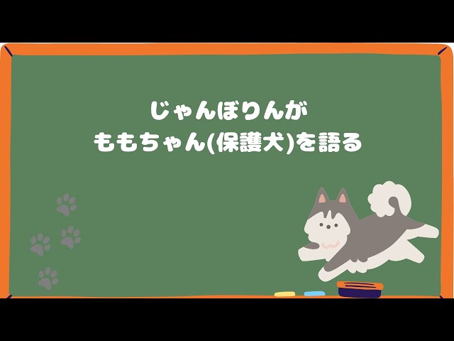 2024/11/06【ポッドキャスト】じゃんぼりんがももちゃんについて語る