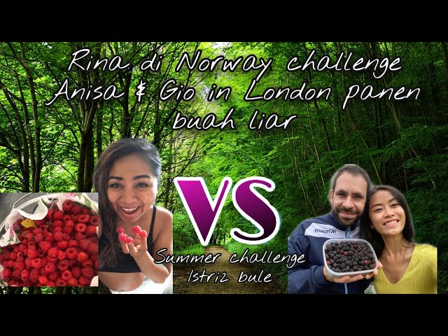 SUMMER CHALLENGE HARVESTING WILD BERRIES WITH MY BFF [ NORWAY VS ENGLAND]