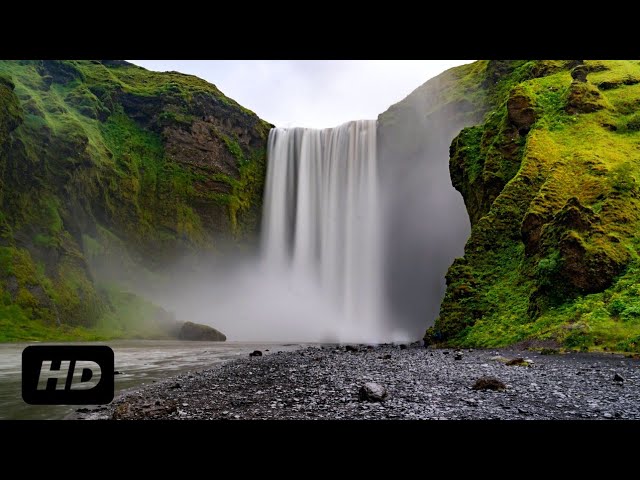 Waterfall Background Video | Copyright Free Video | Romance Post BD