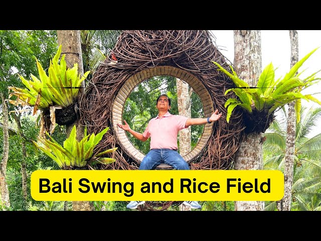 How do the rice fields in Ubud look when the rain adds its magic? 🌧️🌾 #ubud #balivlogs