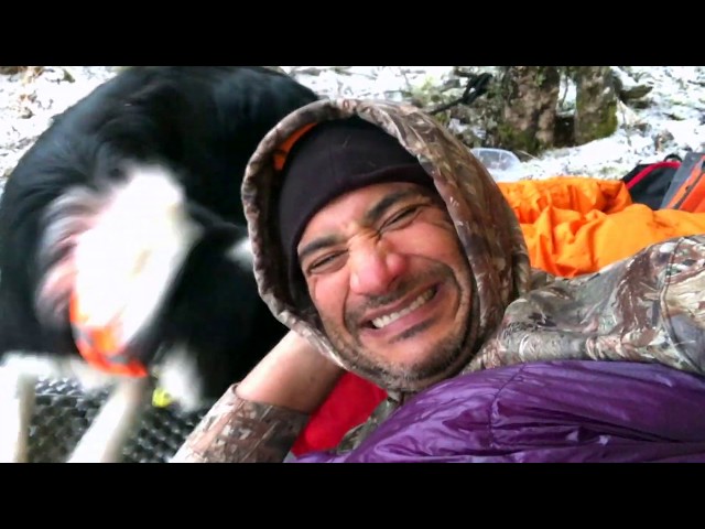 Winter Camping in the snow - Tarp, quilt and dog