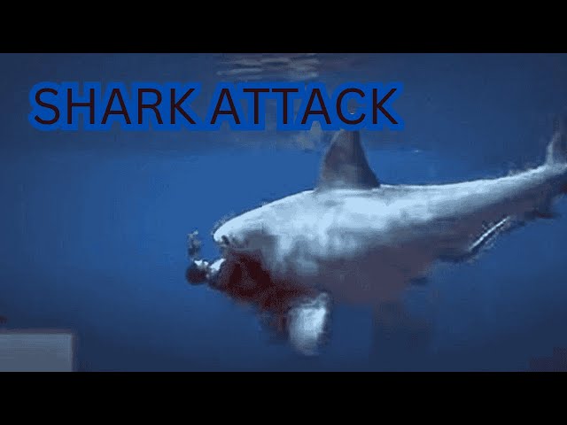 Gta 5 shark location , Shark Attack