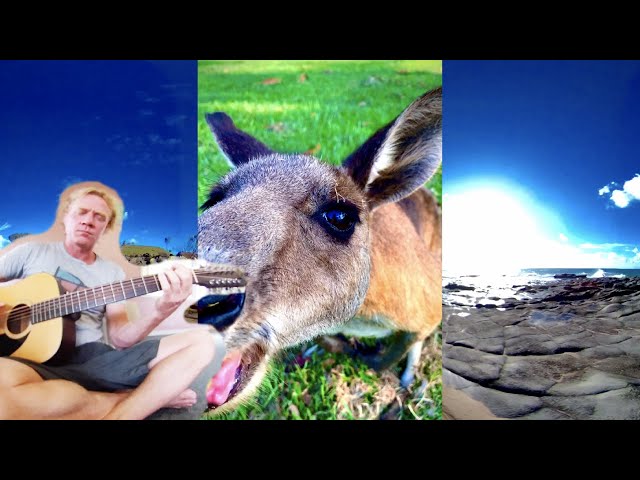 Kangaroo Dreaming 2 a NSW Coastal Headland Adventure with 12-String Guitar 🪕🦘✨🎼 #360vr