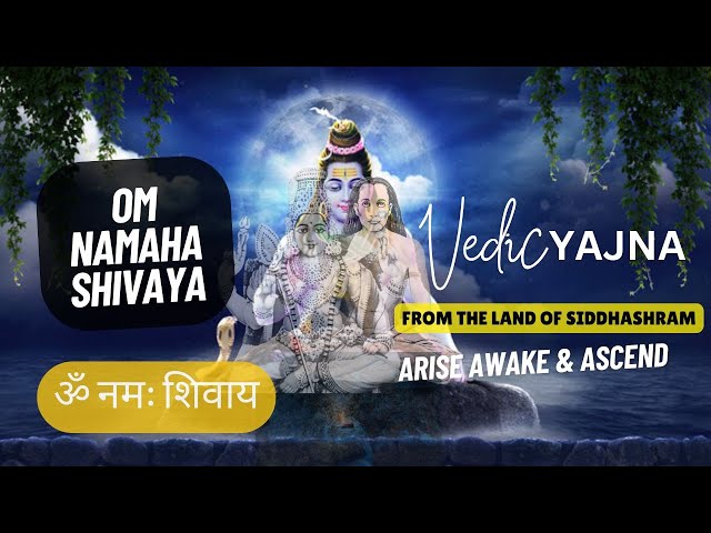 Vedic Yajna | Listen Awake & Ascend | Om Nmaha Shivaya | Om Babaji Nmaha | ॐ स्कन्द कार्तिक्यै नमः