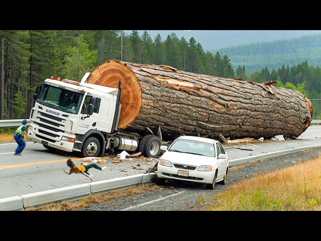 75 Extreme Dangerous Big Logging Wood Truck Driving Skill | Agriculture Technology