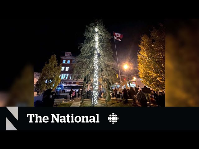 #TheMoment Orillia, Ont., lit up 'Canada's worst Christmas tree'