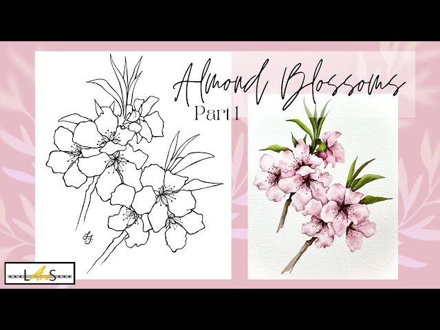 STUNNING Step-by-Step Almond Flower Blossom Pencil Drawing Outline for Painting! Part 1 of 2