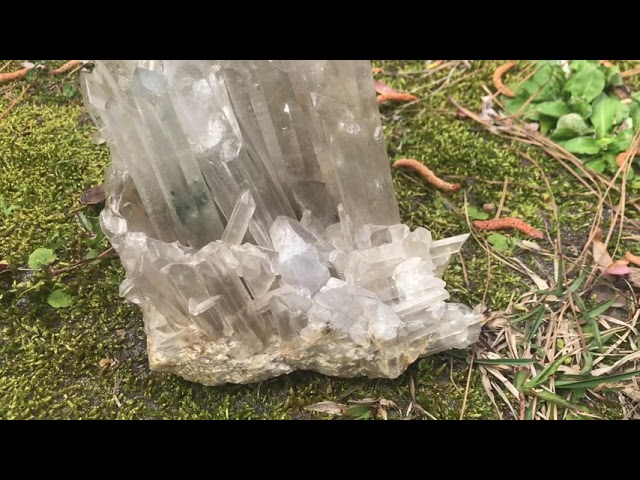 Green Phantom Quartz Specimen