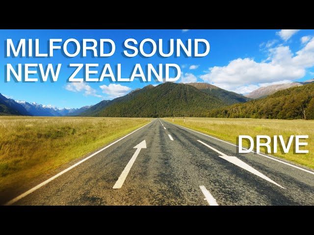 Journey to the Fiords: A Drive Through Fiordland National Park and Milford Sound