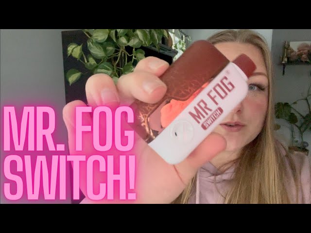 MR. FOG SWITCH SW15000! 10W OR 20W!