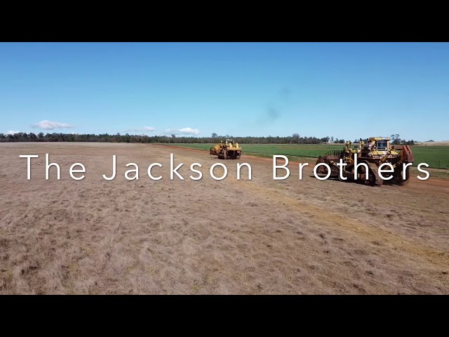 D11 Bulldozers Clearing Trees for Fenceline