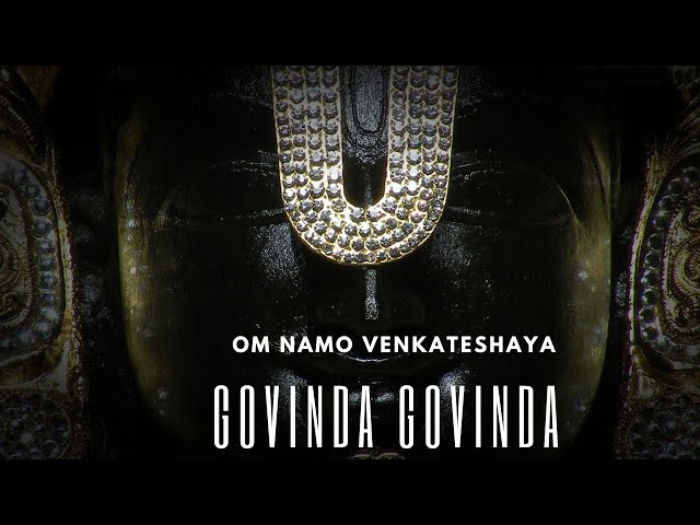 GOVINDA GOVINDA ANI KOLUVARE  | venkateswara swamy songs | Bhakti Songs |  Feel good music India pro