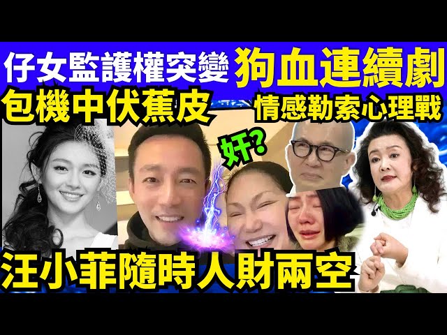 台媒曝大S子女監護權歸屬：汪小菲將人才兩失？ 張蘭律師朋友勸告  煊煊玲玲生活纪录 何太何生生活语录  #何太何生  Smart Travel《城市熱話》#舉報何太 #翁靜晶何志華 #何志華尋妻