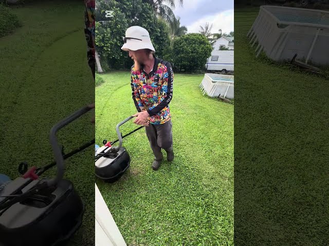 More curves #yardwork #curves #mowinggrass #mowing #shortsfeed #short