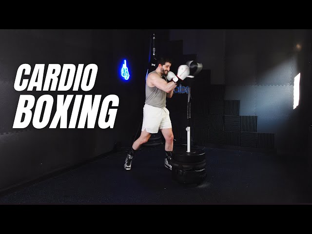 20 Min Cardio Boxing Reflex Bag Workout