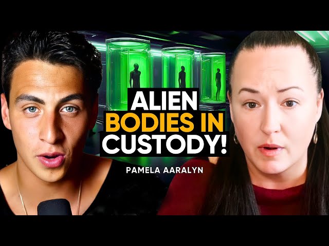 Remote Viewer Reveals Truth About Alien Disclosure - Drones, UFO's, Secret Programs | Pamela Aaralyn