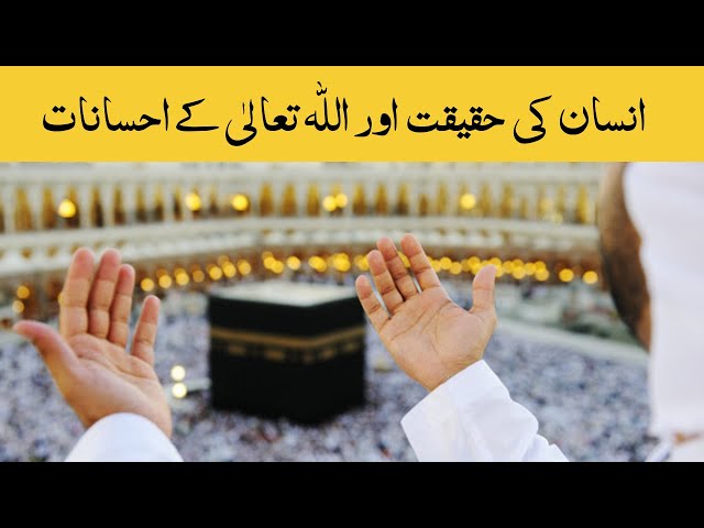 Insan Ki Haqeeqat Or ALLAH Kay Ehsanat In Urdu Hindi | HAQEEQAT-E-ZINDAGI