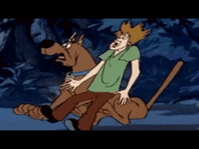 Top 5 Scooby Doo