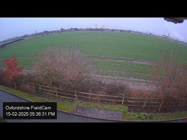 🔴 LIVE Oxfordshire FieldCam - Live Streaming from Oxfordshire, UK