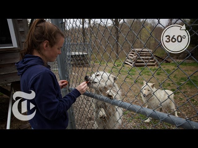 Meet The Scientists Ready To March | The Daily 360 | The New York Times