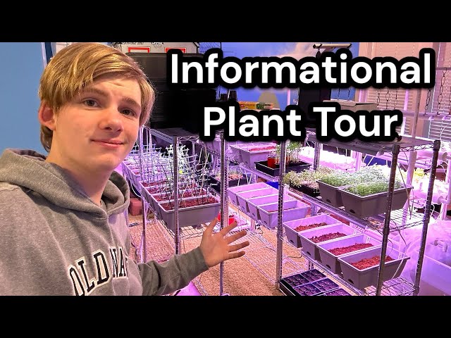 Informational Plant Tour