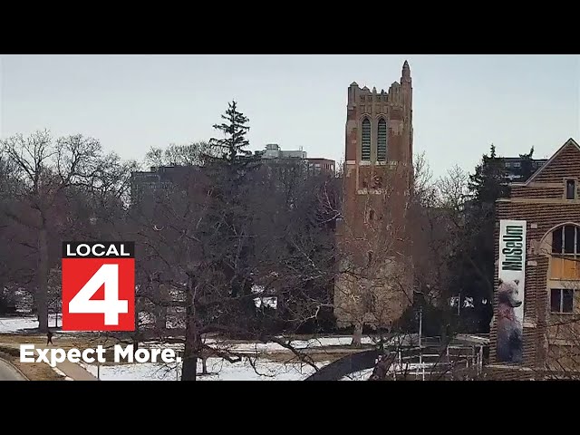 Local 4 News at Noon -- Feb. 5, 2025