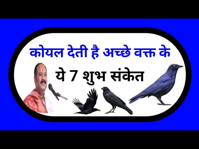 कोयल देती है अच्छे वक्त के ये 7 शुभ संकेत । Pradeep Mishra Ji Ke Upay । Viral Videos । Mahadev Tv ।