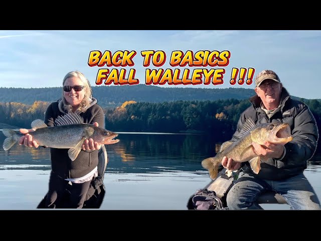 Back to Basics Fall Walleye !!! #walleye #sonnenburgoutdoors