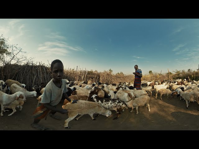 Pastoralists’ voices in 360–intercommunity coexistence in the Greater Karamoja Cluster (3D trailer)