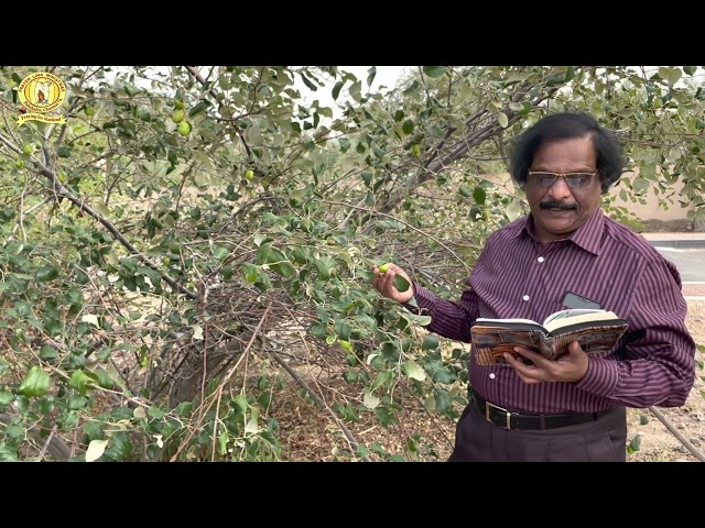 PLM Devotions [Episode 18] Rev. Dr. Jonathan Santhosh Raj