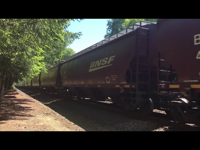 A Day of Railfanning in Castle Rock, WA [13 TRAINS!]