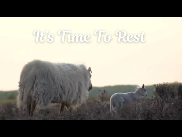 It's Time To Rest / Jesus The Good Shepard Psalms 23