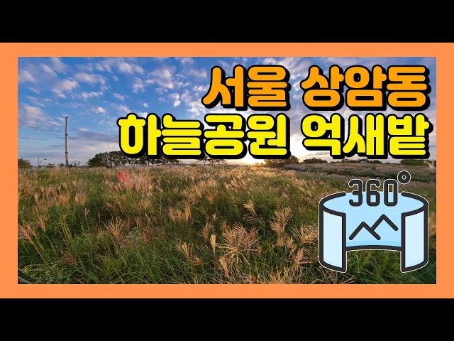 360VR 【5.7K】 #181 🇰🇷서울여행 | 상암동 하늘공원 억새밭 풍경 [Insta360 ONE X]